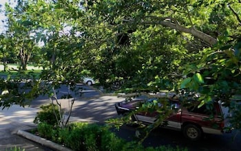 Glenellen Bed And Breakfast - Tourism Cairns 0