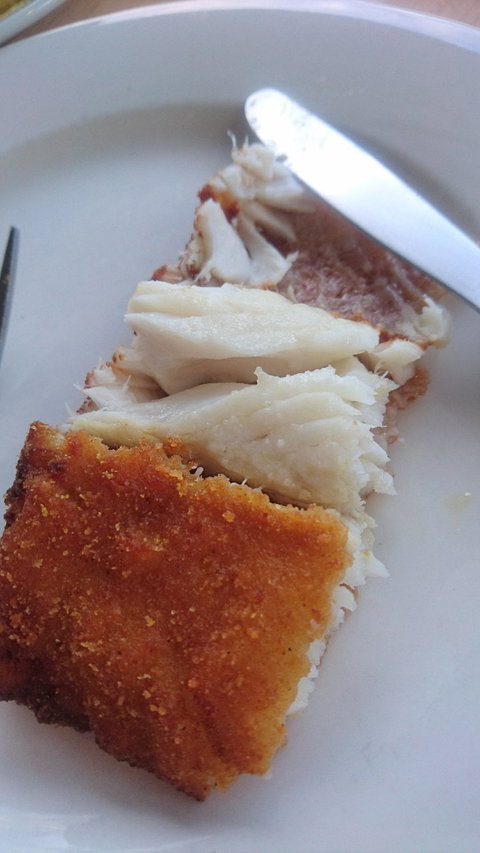 Burleigh Tropicana - Tourism Cairns 2