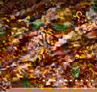 Pizza D'oh - Tourism Cairns