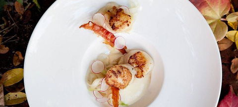 Pod Food - Tourism Cairns 0