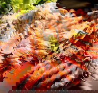 Table 30 - Tourism Cairns