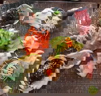 Toshi's Japanese Restaurant - Tourism Cairns