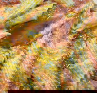 Jaspers Pizza  Pasta - Tourism Cairns