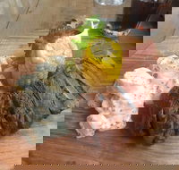 The Windy Mile - Tourism Cairns