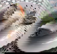 Cafe Lazat - Tourism Cairns