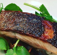 The Shaggy Cow - Tourism Cairns