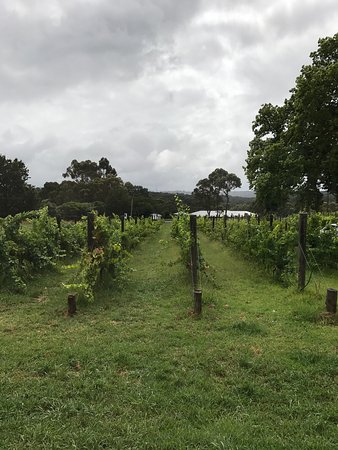 Upper Beaconsfield VIC Tourism Cairns