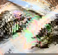 Frank and Connie's Kitchen - Tourism Cairns