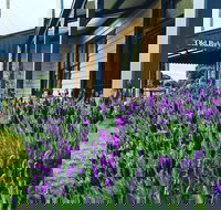 Dunkeld Old Bakery - Tourism Cairns