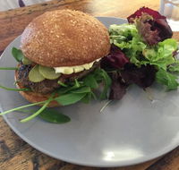 Forage on the Foreshore - Tourism Cairns