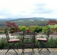 Forest Edge Restaurant - Tourism Cairns