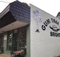 Gum Tree Pies - Tourism Cairns