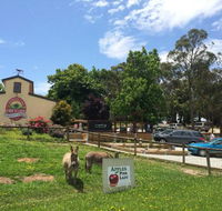 Sherwood Park Orchard Bakery Cafe - Tourism Cairns