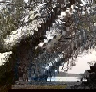 The Forest Door - Tourism Cairns