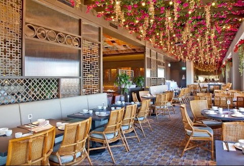 Zhu Canton - Tourism Cairns 0