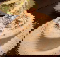 Yan - Tourism Cairns