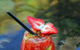 Misono Japanese Steakhouse - thumb 16