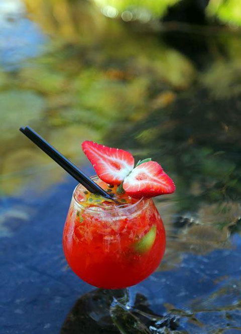 Misono Japanese Steakhouse - Tourism Cairns 16
