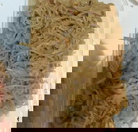 Quick Thai Restaurant - Tourism Cairns