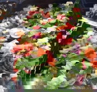 Spuds Fish Moorebank - Tourism Cairns