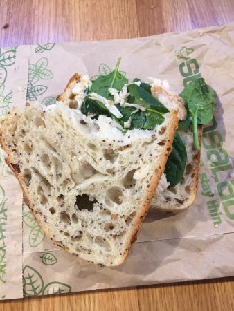 Sumo Salad - Tourism Cairns 0