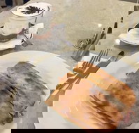 Cafe Mia - Tourism Cairns