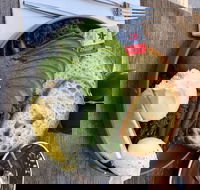 Moss Bros - Tourism Cairns