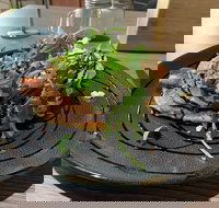 22 Grams Espresso - Tourism Cairns