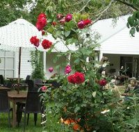 Sturt Coffee - Tourism Cairns