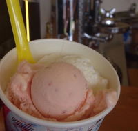 Bermagui Gelati Clinic - Tourism Cairns