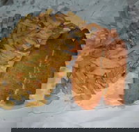 Chipp Inn - Tourism Cairns