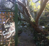 John and Willys - Tourism Cairns