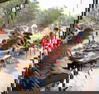 Redgums on PS Emmylou - Tourism Cairns