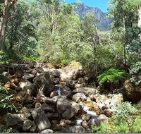 Star Chinese Restaurant - Tourism Cairns