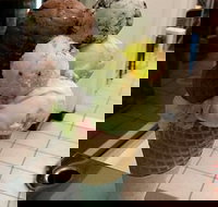 The Natural Waffle Ice Cream Parlour - Tourism Cairns