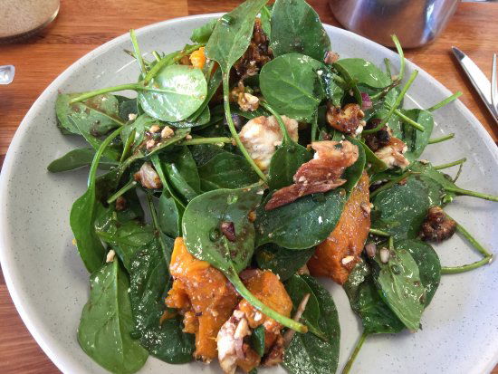 Newcastle NSW Tourism Cairns