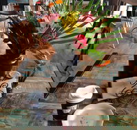 Dusty Beans Cafe - Tourism Cairns