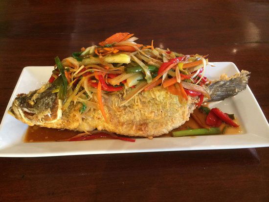 Martindale NSW Tourism Cairns