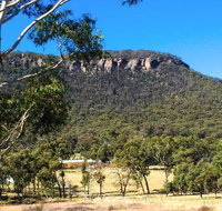 The Lolly Bug - Tourism Cairns
