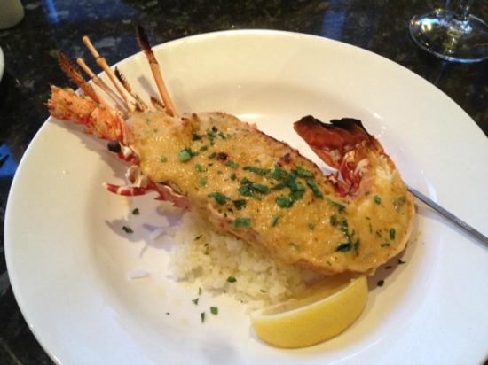 Weston ACT Tourism Cairns