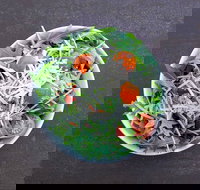 Bootsdarling - Tourism Cairns