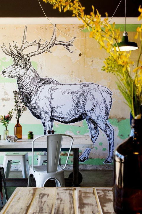 Elk Espresso - Tourism Cairns 0