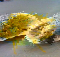 Take Coffee - Tourism Cairns