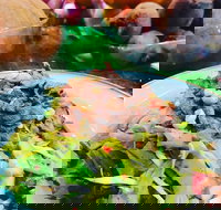 Salad Bar - Surry Hills - Tourism Cairns