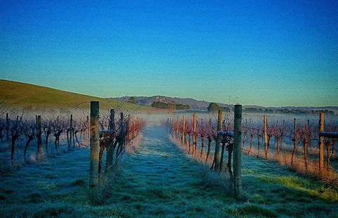 Eastern Peake Winery - Tourism Cairns 0