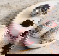 Gelatissimo - Wetherill Park - Tourism Cairns