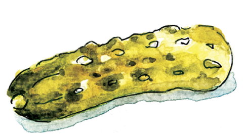 Gherkin Garden By Bethany Wines - Tourism Cairns 1