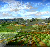 Kellybrook Winery and Kelly Brothers Cider - Tourism Cairns