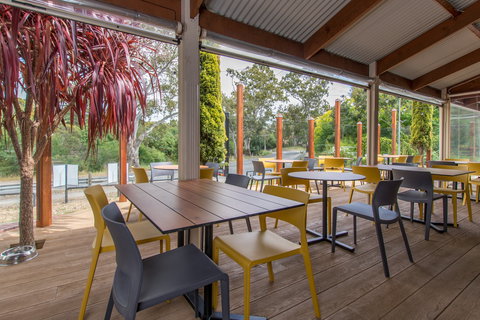 The Duck - Tourism Cairns 1