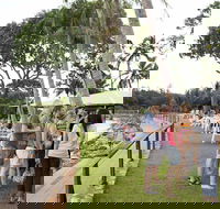 Darwin Ski Club - Tourism Cairns